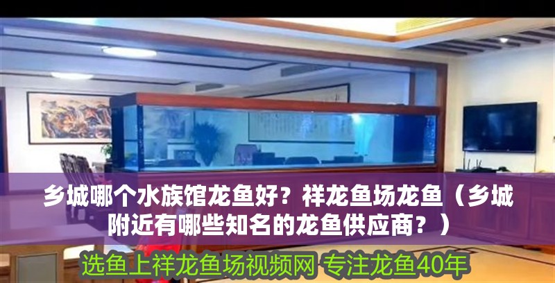 鄉(xiāng)城哪個(gè)水族館龍魚好？祥龍魚場(chǎng)龍魚（鄉(xiāng)城附近有哪些知名的龍魚供應(yīng)商？）