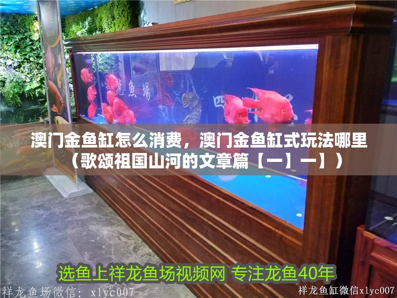 澳門金魚缸怎么消費，澳門金魚缸式玩法哪里（歌頌祖國山河的文章篇【一】一】）