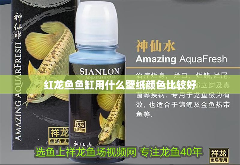 紅龍魚魚缸用什么壁紙顏色比較好 紅龍魚魚缸用什么壁紙顏色比較好 龍魚百科 第1張