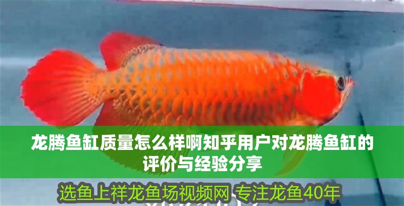 龍騰魚缸質量怎么樣啊知乎用戶對龍騰魚缸的評價與經驗分享