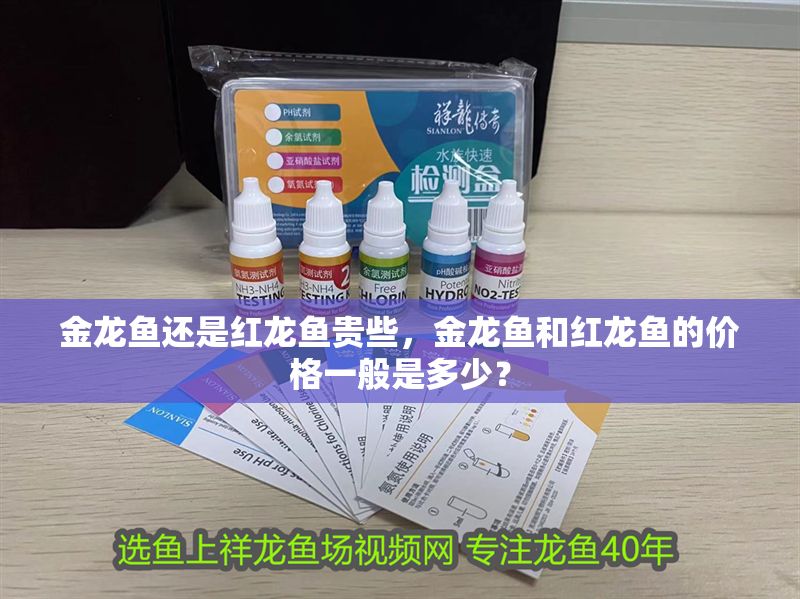 金龍魚還是紅龍魚貴些，金龍魚和紅龍魚的價格一般是多少？