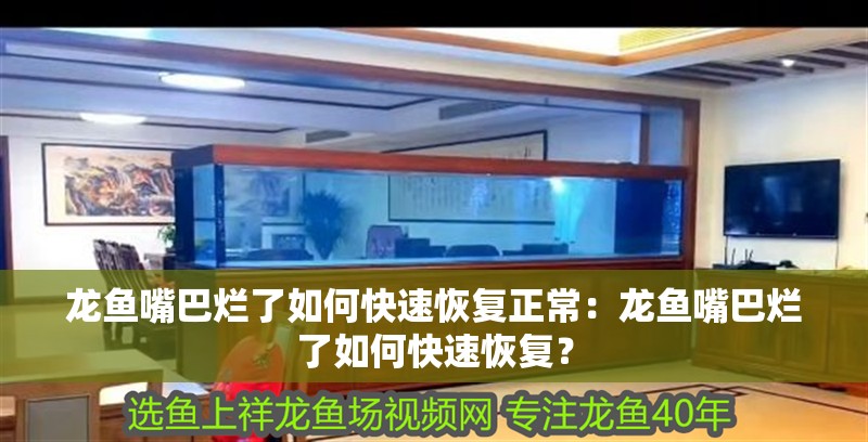 龍魚嘴巴爛了如何快速恢復正常：龍魚嘴巴爛了如何快速恢復？