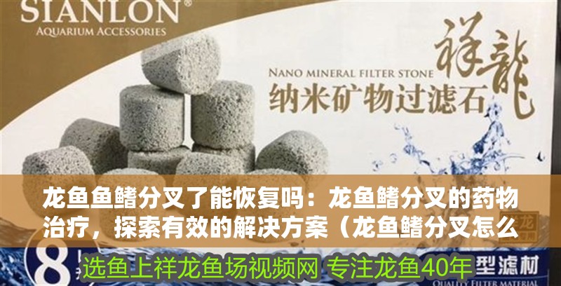 龍魚魚鰭分叉了能恢復嗎：龍魚鰭分叉的藥物治療，探索有效的解決方案（龍魚鰭分叉怎么辦）