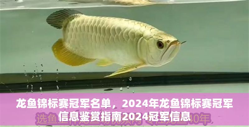 龍魚錦標(biāo)賽冠軍名單，2024年龍魚錦標(biāo)賽冠軍信息鑒賞指南2024冠軍信息