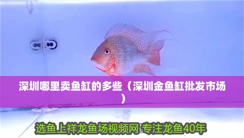 <strong><mark>深圳</mark></strong>哪里賣魚缸的多些（<strong><mark>深圳</mark></strong>金魚缸批發(fā)市場）