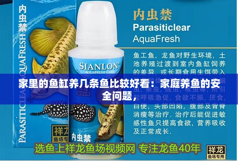 家里的魚缸養(yǎng)幾條魚比較好看：家庭養(yǎng)魚的安全問題，