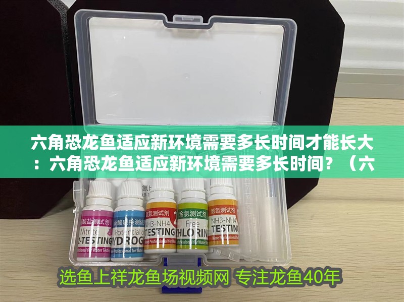 六角恐龍魚適應新環境需要多長時間才能長大：六角恐龍魚適應新環境需要多長時間？（六角恐龍魚如何適應新環境）