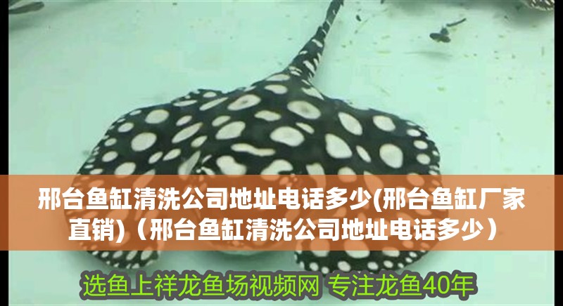 魚缸造景先放沙還是先放水(魚缸造景先鋪沙還是先放石頭) 邢臺魚缸清洗公司地址電話多少(邢臺魚缸廠家直銷)(邢臺魚缸清洗公司地址電話多少) 觀賞魚百科 邢臺魚缸清洗公司地址電話多少(邢臺魚缸廠家直銷)(邢臺魚缸清洗公司地址電話多少) 邢臺魚缸清洗公司地址電話多少(邢臺魚缸廠家直銷)(邢臺魚缸清洗公司地址電話多少) 觀賞魚百科