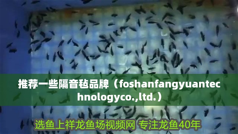 推薦一些隔音氈品牌（foshanfangyuantechnologyco.,ltd.）