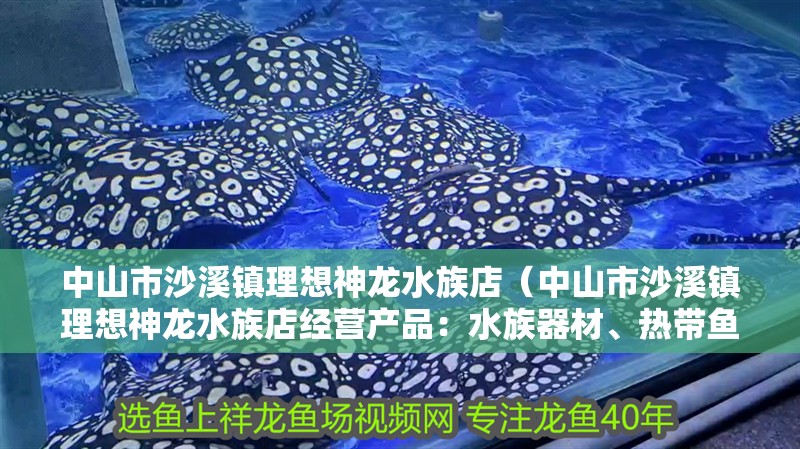 中山市沙溪鎮(zhèn)理想神龍水族店（中山市沙溪鎮(zhèn)理想神龍水族店經(jīng)營產(chǎn)品：水族器材、熱帶魚） 中山市沙溪鎮(zhèn)理想神龍水族店（中山市沙溪鎮(zhèn)理想神龍水族店經(jīng)營產(chǎn)品：水族器材、熱帶魚） 觀賞魚百科