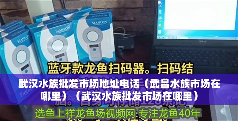 武漢水族批發(fā)市場地址電話（武昌水族市場在哪里）（武漢水族批發(fā)市場在哪里） 武漢水族批發(fā)市場地址電話（武昌水族市場在哪里）（武漢水族批發(fā)市場在哪里） 觀賞魚百科