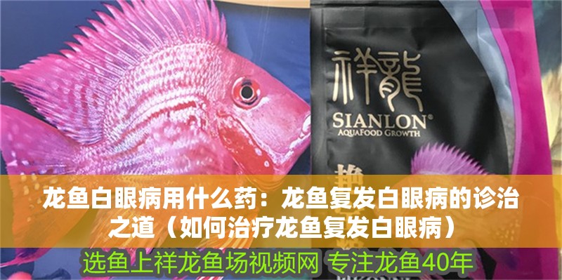 龍魚白眼病用什么藥：龍魚復發白眼病的診治之道（如何治療龍魚復發白眼病）