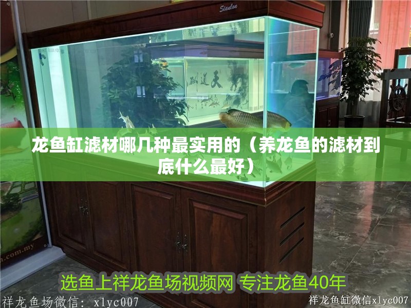 龍魚缸濾材哪幾種最實(shí)用的（養(yǎng)龍魚的濾材到底什么最好）