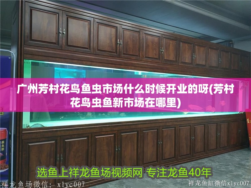 廣州芳村花鳥魚蟲市場什么時候開業的呀(芳村花鳥蟲魚新市場在哪里)