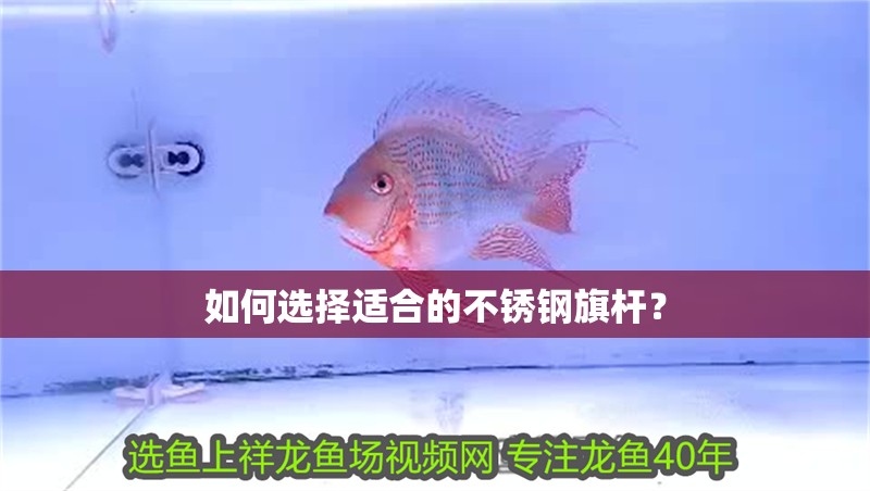 如何選擇適合的不銹鋼旗桿？ 如何選擇適合的不銹鋼旗桿？ 龍魚百科