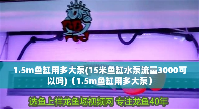 1.5m魚(yú)缸用多大泵(15米魚(yú)缸水泵流量3000可以嗎)（1.5m魚(yú)缸用多大泵）