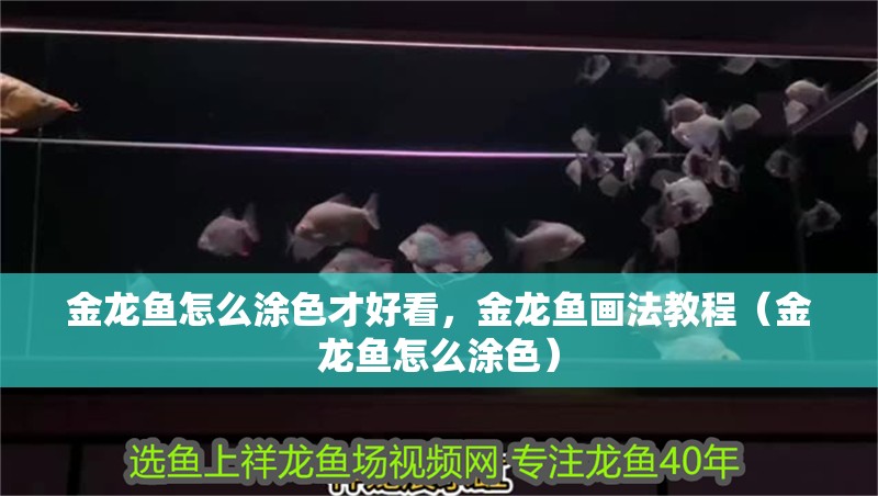 金龍魚(yú)怎么涂色才好看，金龍魚(yú)畫(huà)法教程（金龍魚(yú)怎么涂色）