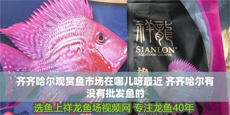 齊齊哈爾觀賞魚市場在哪兒呀最近 齊齊哈爾有沒有批發魚的