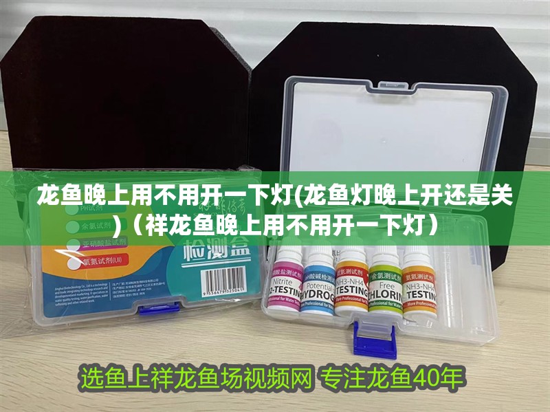 龍魚晚上用不用開一下燈(龍魚燈晚上開還是關)(祥龍魚晚上用不用開一下燈)