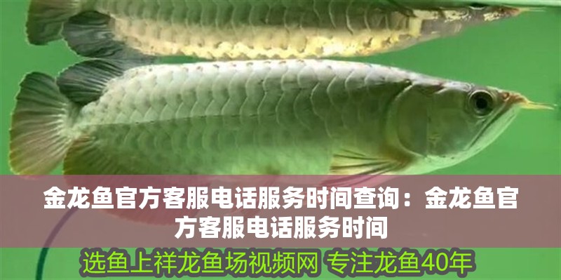 金龍魚官方客服電話服務時間查詢：金龍魚官方客服電話服務時間