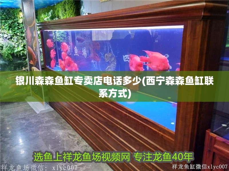 銀川森森魚缸專賣店電話多少(西寧森森魚缸聯系方式)