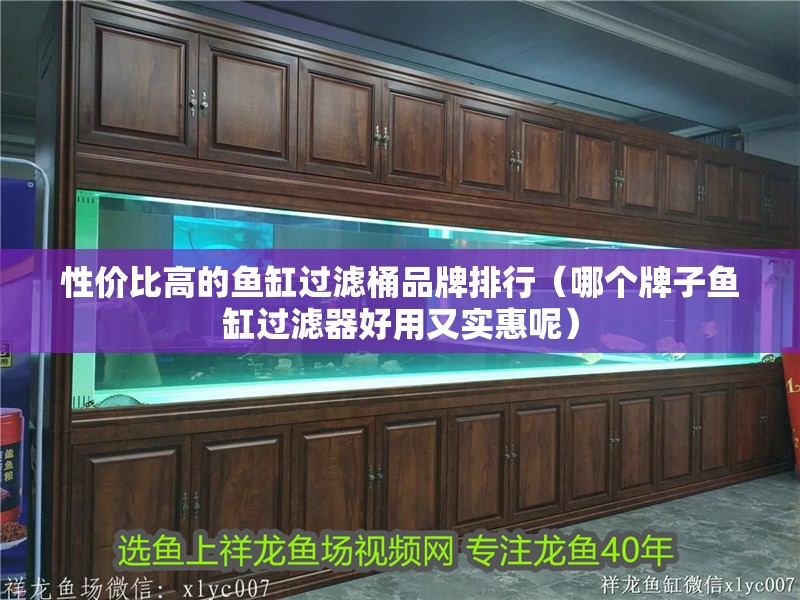 性價比高的魚缸過濾桶品牌排行（哪個牌子魚缸過濾器好用又實惠呢）