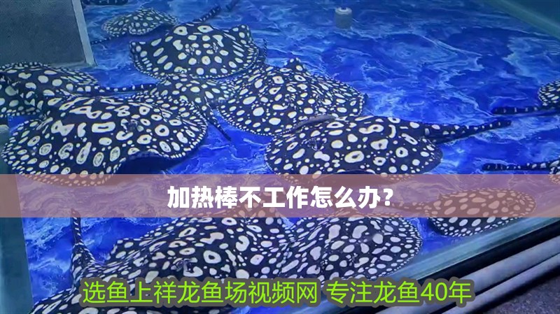 加熱棒不工作怎么辦？