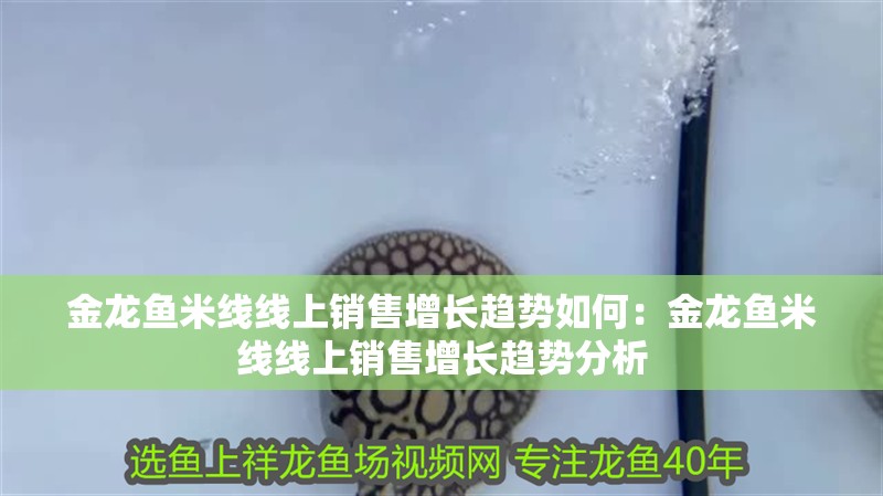 金龍魚米線線上銷售增長趨勢如何：金龍魚米線線上銷售增長趨勢分析