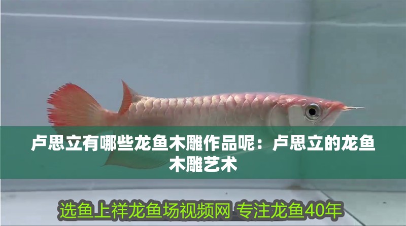 盧思立有哪些龍魚木雕作品呢：盧思立的龍魚木雕藝術
