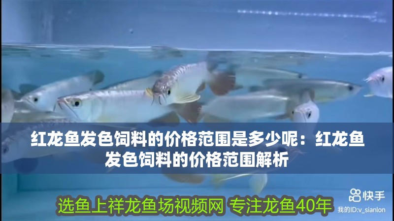 紅龍魚發色飼料的價格范圍是多少呢：紅龍魚發色飼料的價格范圍解析