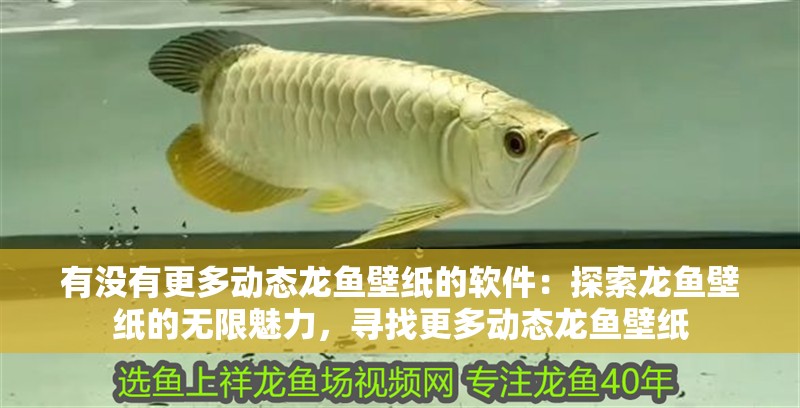 有沒有更多動態龍魚壁紙的軟件：探索龍魚壁紙的無限魅力，尋找更多動態龍魚壁紙