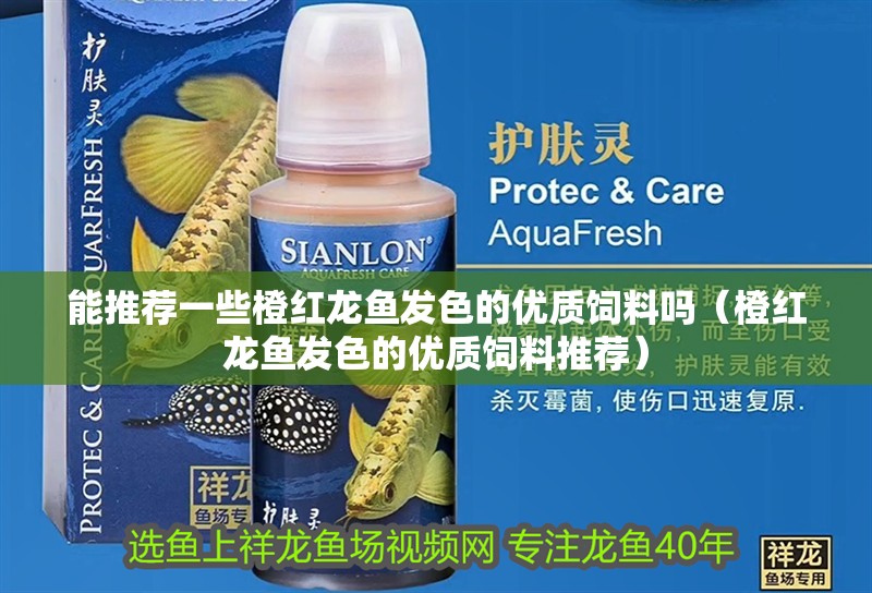 龍魚(yú)干蝦有營(yíng)養(yǎng)嗎 能推薦一些橙紅龍魚(yú)發(fā)色的優(yōu)質(zhì)飼料嗎(橙紅龍魚(yú)發(fā)色的優(yōu)質(zhì)飼料推薦) 龍魚(yú)百科 能推薦一些橙紅龍魚(yú)發(fā)色的優(yōu)質(zhì)飼料嗎(橙紅龍魚(yú)發(fā)色的優(yōu)質(zhì)飼料推薦) 能推薦一些橙紅龍魚(yú)發(fā)色的優(yōu)質(zhì)飼料嗎(橙紅龍魚(yú)發(fā)色的優(yōu)質(zhì)飼料推薦) 龍魚(yú)百科