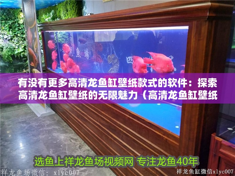 有沒有更多高清龍魚缸壁紙款式的軟件：探索高清龍魚缸壁紙的無限魅力（高清龍魚缸壁紙）