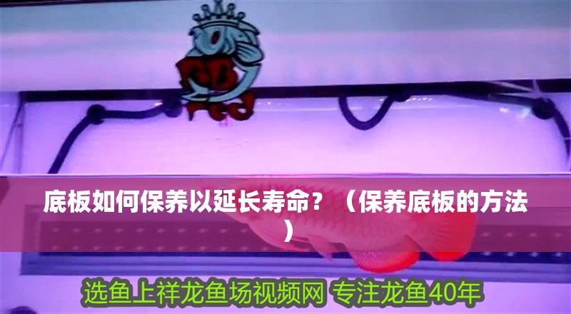 底板如何保養以延長壽命？（保養底板的方法）