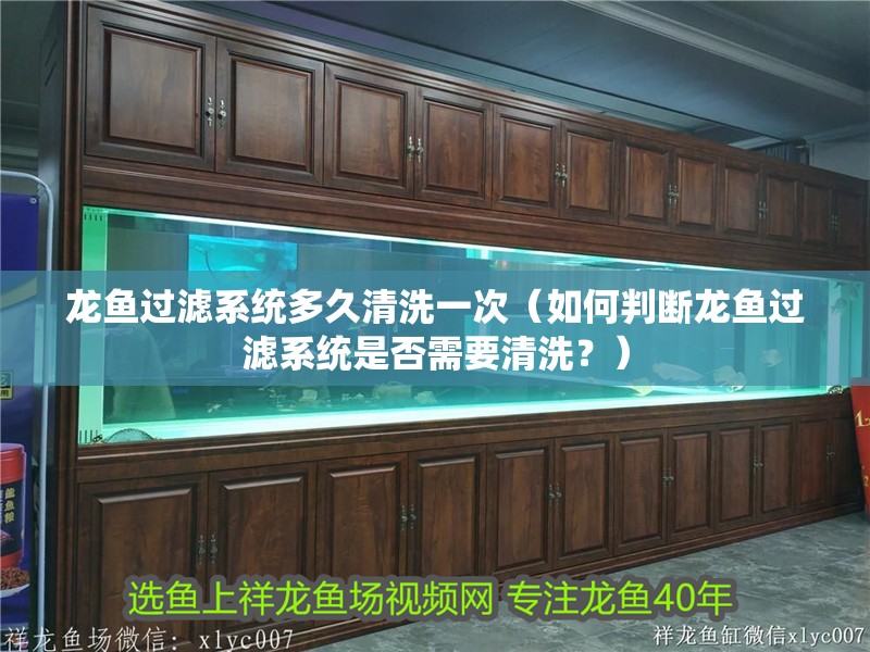 龍魚過濾系統多久清洗一次（如何判斷龍魚過濾系統是否需要清洗？） 龍魚過濾系統多久清洗一次（如何判斷龍魚過濾系統是否需要清洗？） 龍魚百科