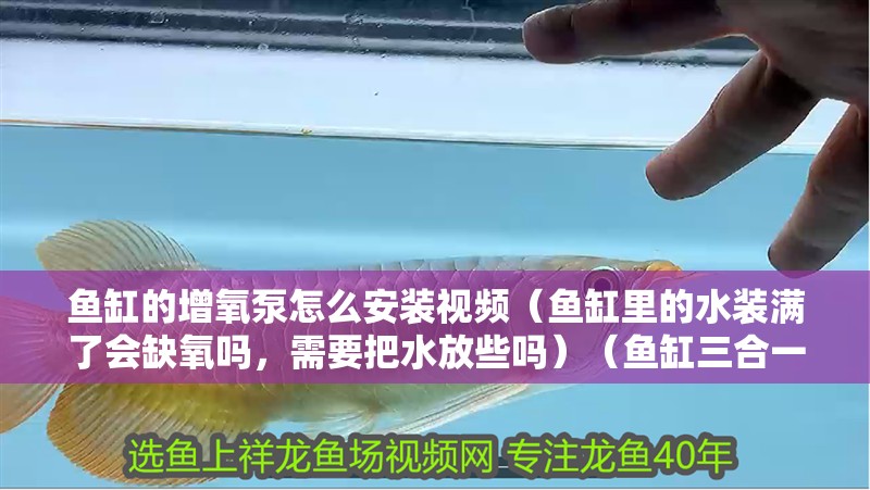 魚缸的增氧泵怎么安裝視頻（魚缸里的水裝滿了會缺氧嗎，需要把水放些嗎）（魚缸三合一水泵） 魚缸的增氧泵怎么安裝視頻（魚缸里的水裝滿了會缺氧嗎，需要把水放些嗎）（魚缸三合一水泵） 觀賞魚百科