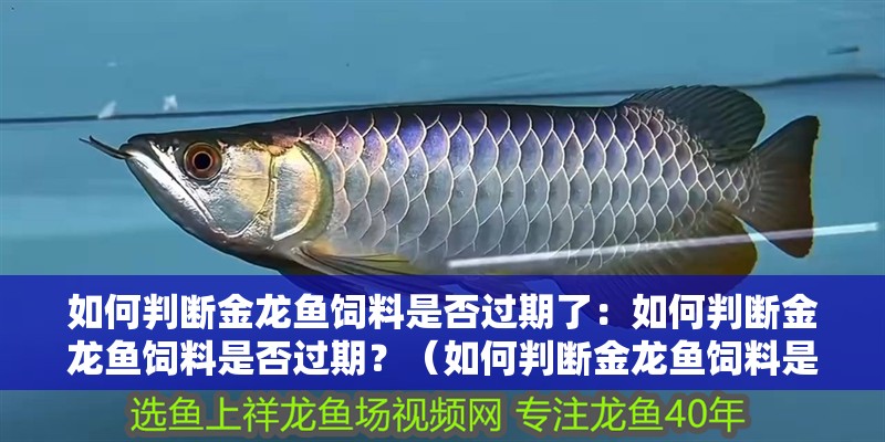 如何判斷金龍魚飼料是否過期了：如何判斷金龍魚飼料是否過期？（如何判斷金龍魚飼料是否過期）