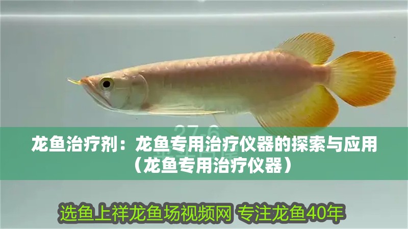 龍魚治療劑：龍魚專用治療儀器的探索與應用（龍魚專用治療儀器）