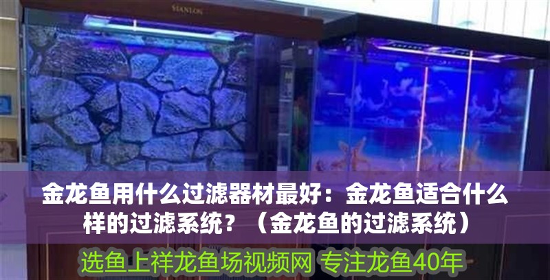 金龍魚用什么過濾器材最好：金龍魚適合什么樣的過濾系統？（金龍魚的過濾系統） 金龍魚用什么過濾器材最好：金龍魚適合什么樣的過濾系統？（金龍魚的過濾系統） 水族問答