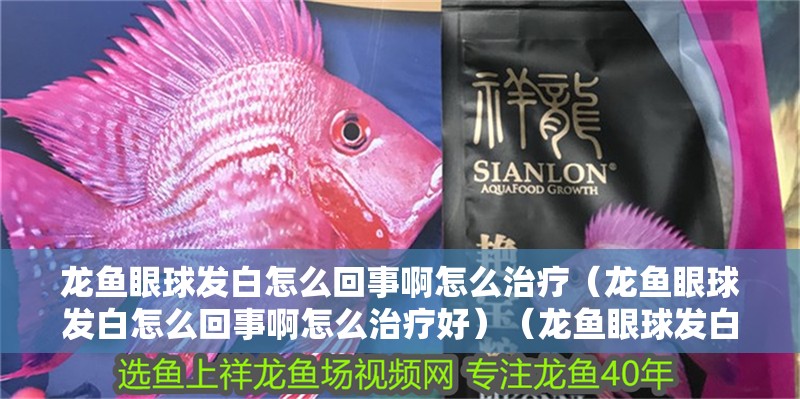 龍魚眼球發白怎么回事啊怎么治療（龍魚眼球發白怎么回事啊怎么治療好）（龍魚眼球發白怎么辦） 龍魚眼球發白怎么回事啊怎么治療（龍魚眼球發白怎么回事啊怎么治療好）（龍魚眼球發白怎么辦） 觀賞魚百科
