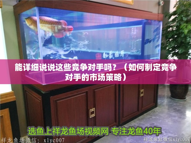 能詳細說說這些競爭對手嗎？（如何制定競爭對手的市場策略）