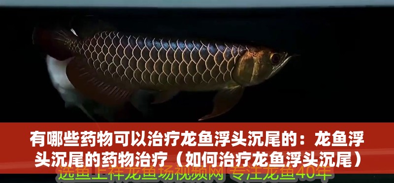 有哪些藥物可以治療龍魚浮頭沉尾的：龍魚浮頭沉尾的藥物治療（如何治療龍魚浮頭沉尾）