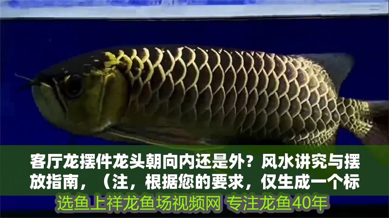 客廳龍擺件龍頭朝向內還是外？風水講究與擺放指南，（注，根據您的要求，僅生成一個標題，已嚴格控制在1個）