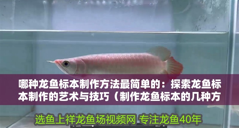 我的虎魚真菌感染了要怎么處理 哪種龍魚標本制作方法最簡單的:探索龍魚標本制作的藝術與技巧(制作龍魚標本的幾種方法) 水族問答 哪種龍魚標本制作方法最簡單的:探索龍魚標本制作的藝術與技巧(制作龍魚標本的幾種方法) 哪種龍魚標本制作方法最簡單的:探索龍魚標本制作的藝術與技巧(制作龍魚標本的幾種方法) 水族問答