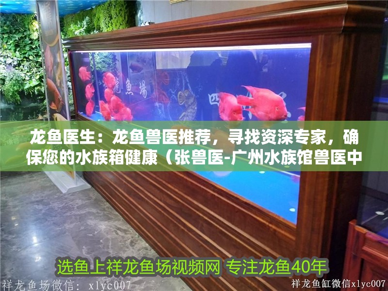 龍魚醫生：龍魚獸醫推薦，尋找資深專家，確保您的水族箱健康（張獸醫-廣州水族館獸醫中心龍魚獸醫中心工作推薦）