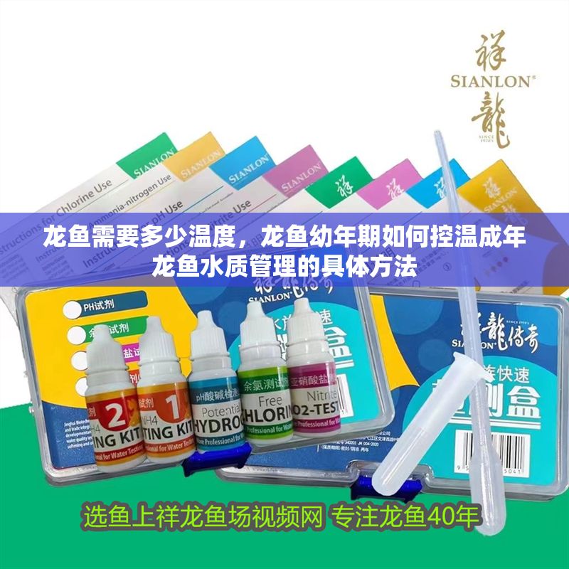 龍魚需要多少溫度，龍魚幼年期如何控溫成年龍魚水質管理的具體方法