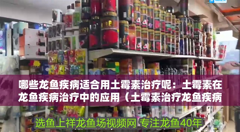 哪些龍魚疾病適合用土霉素治療呢：土霉素在龍魚疾病治療中的應用（土霉素治療龍魚疾病的注意事項）