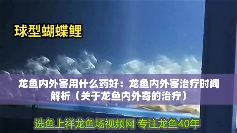 龍魚(yú)內(nèi)外寄用什么藥好：龍魚(yú)內(nèi)外寄治療時(shí)間解析（關(guān)于龍魚(yú)內(nèi)外寄的治療）