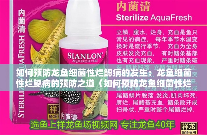 如何預防龍魚細菌性爛鰓病的發生：龍魚細菌性爛鰓病的預防之道（如何預防龍魚細菌性爛鰓病）