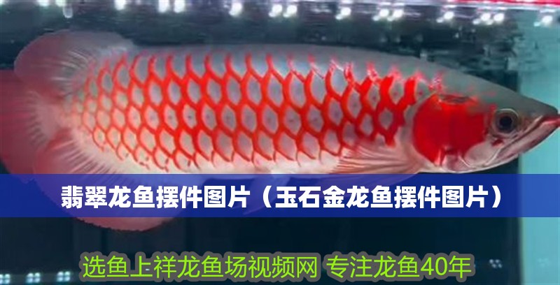 翡翠龍魚擺件圖片（玉石金龍魚擺件圖片）